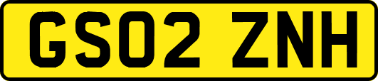 GS02ZNH