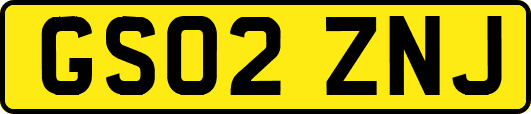 GS02ZNJ