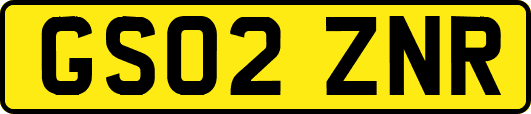 GS02ZNR
