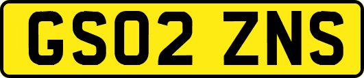 GS02ZNS