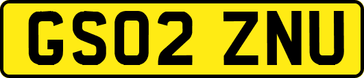 GS02ZNU