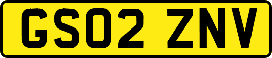 GS02ZNV