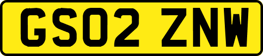 GS02ZNW