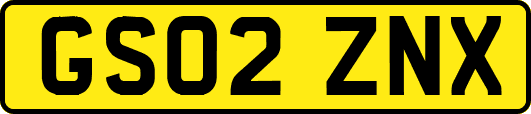 GS02ZNX