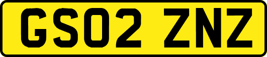 GS02ZNZ