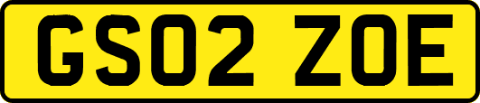 GS02ZOE