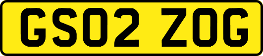 GS02ZOG
