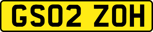 GS02ZOH