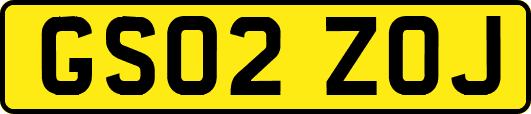 GS02ZOJ