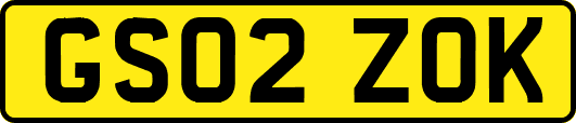 GS02ZOK