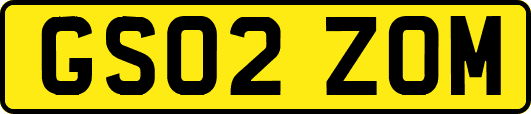 GS02ZOM