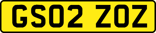GS02ZOZ