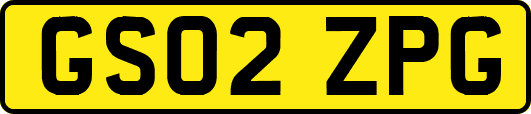 GS02ZPG