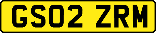 GS02ZRM