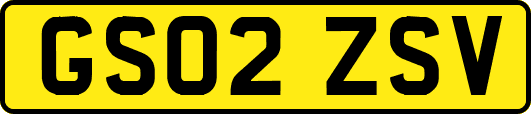 GS02ZSV