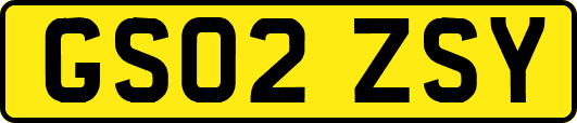 GS02ZSY