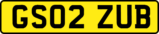 GS02ZUB