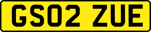 GS02ZUE