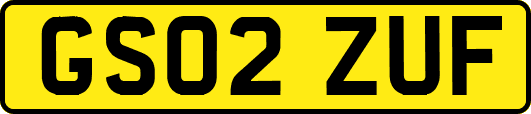 GS02ZUF