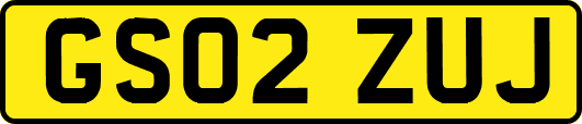 GS02ZUJ
