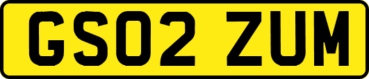 GS02ZUM