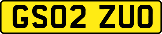 GS02ZUO