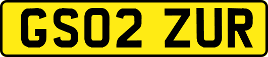 GS02ZUR
