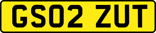 GS02ZUT