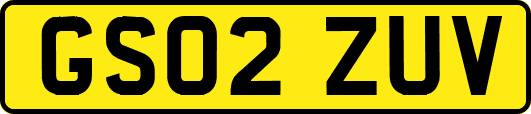 GS02ZUV