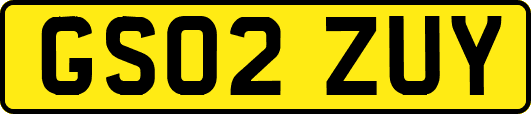 GS02ZUY