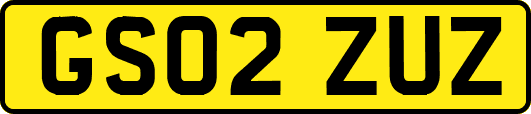 GS02ZUZ