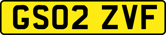 GS02ZVF