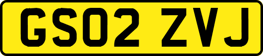 GS02ZVJ