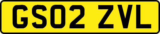 GS02ZVL