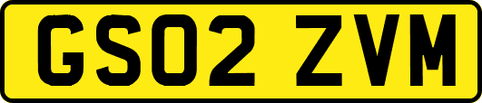 GS02ZVM