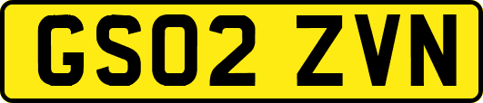 GS02ZVN