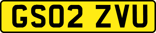 GS02ZVU