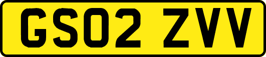 GS02ZVV