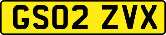 GS02ZVX
