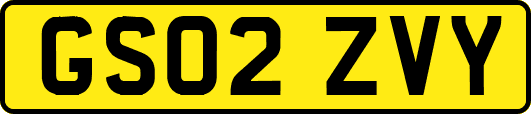 GS02ZVY
