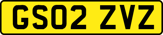 GS02ZVZ