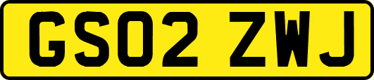 GS02ZWJ