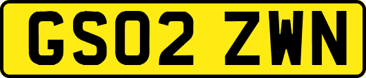GS02ZWN