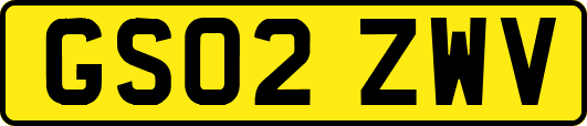 GS02ZWV