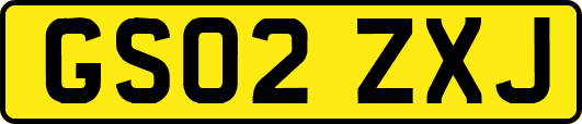 GS02ZXJ