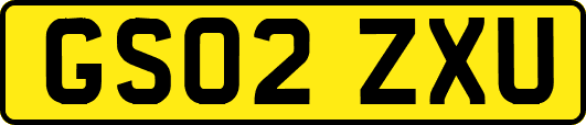 GS02ZXU