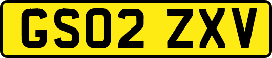 GS02ZXV