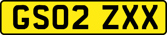 GS02ZXX