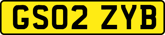 GS02ZYB