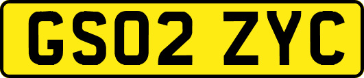 GS02ZYC